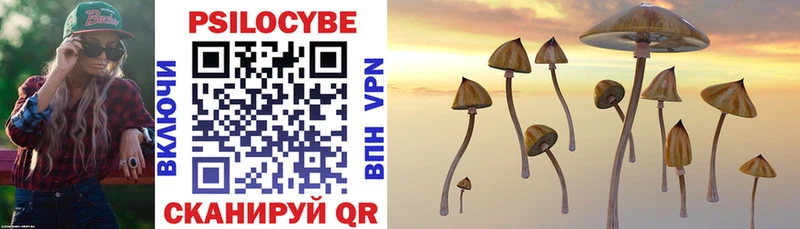 Псилоцибиновые грибы Cubensis  Купить  Баймак 